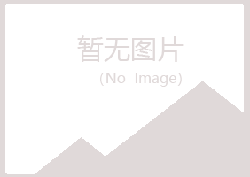 铁岭山柳化学有限公司